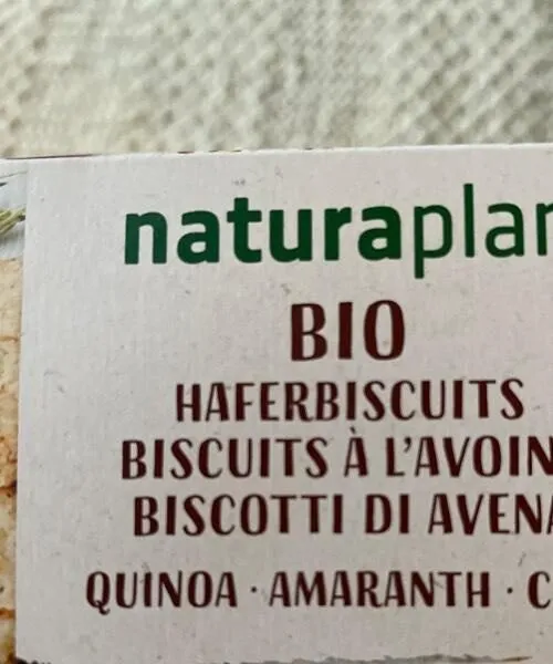 Biscuits avoine