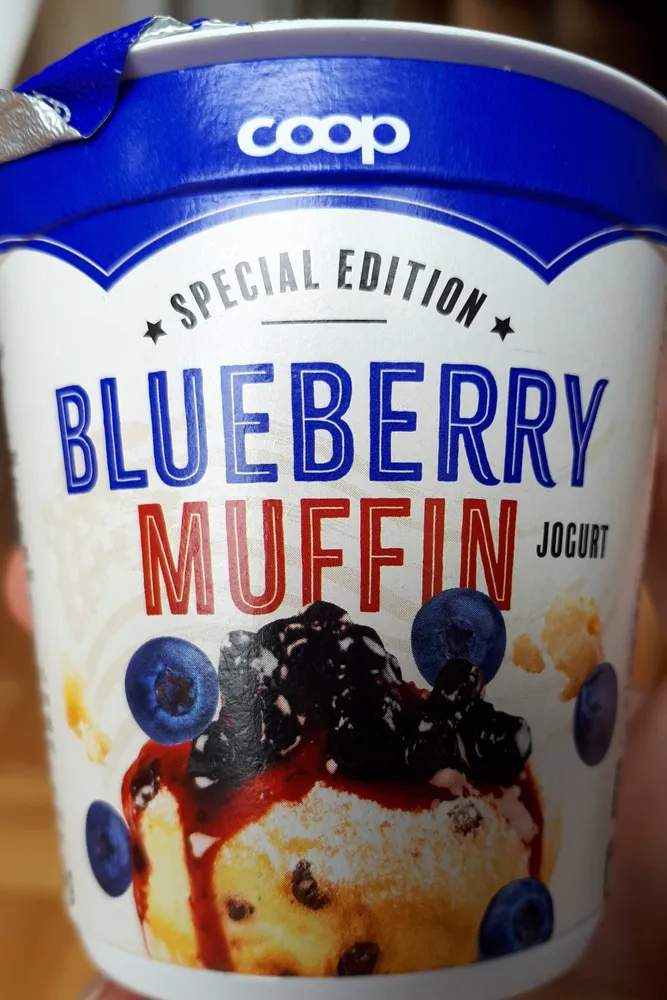 Yogourt Blueberry Muffin