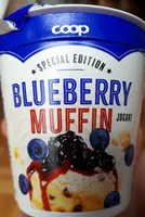 Yogourt Blueberry Muffin