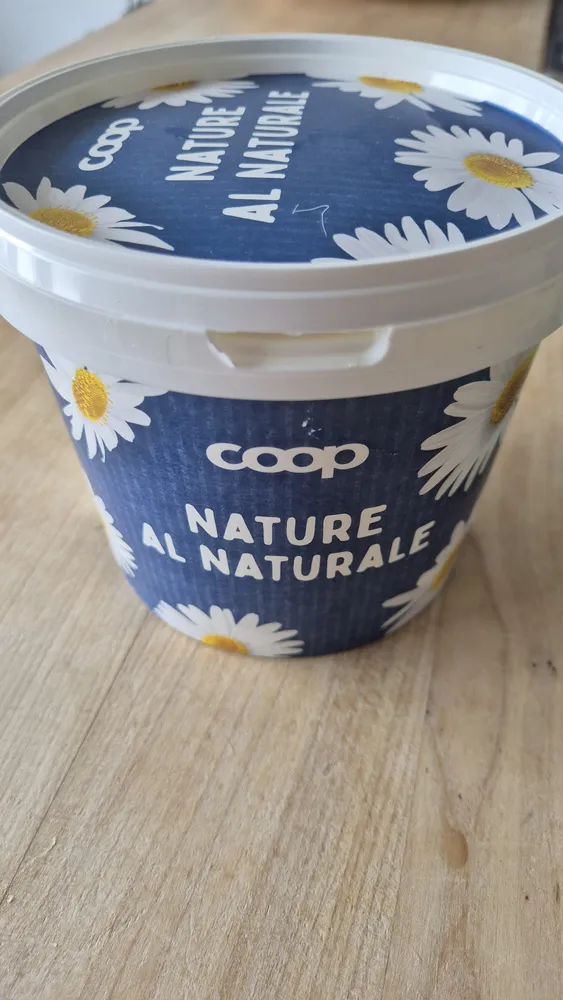 Joghurt Nature