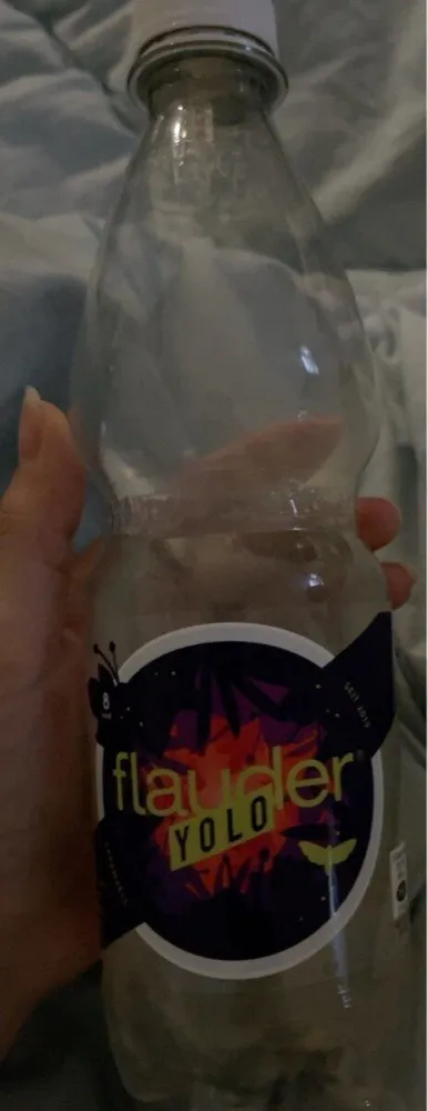 Flauder Yolo
