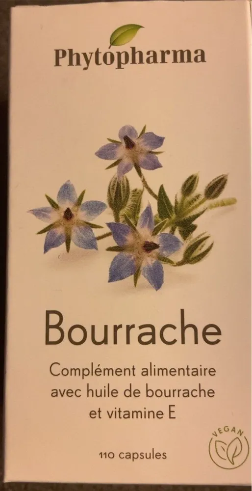 Bourrache