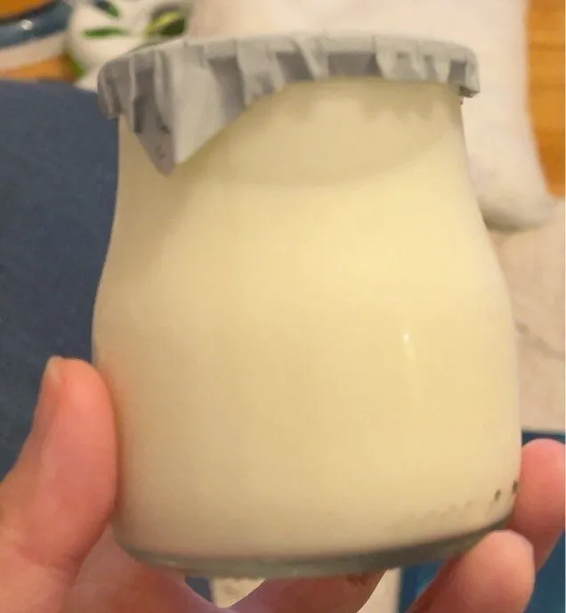 Yogourt vache sapalet