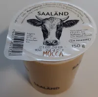 Yogourt Mocca