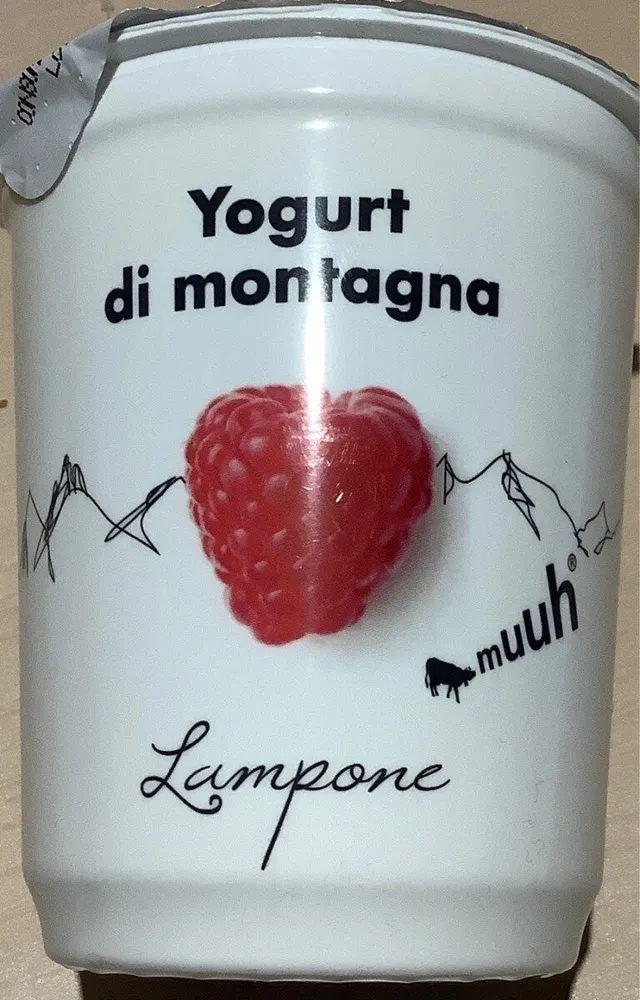 Yogurt di montagna Lampone