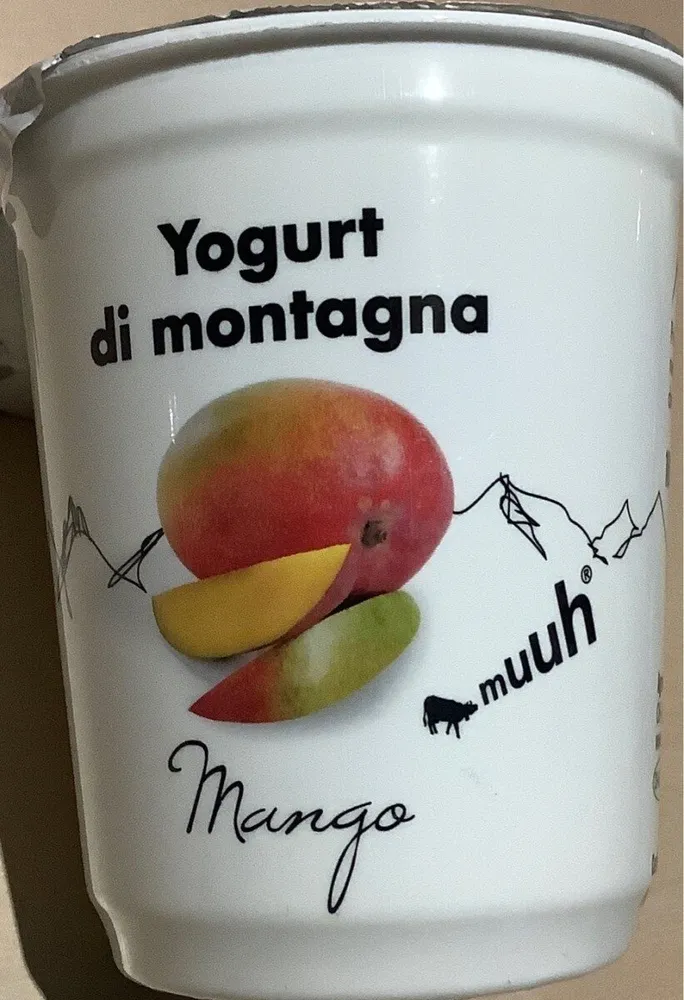 Yogourt de montagne Mangue