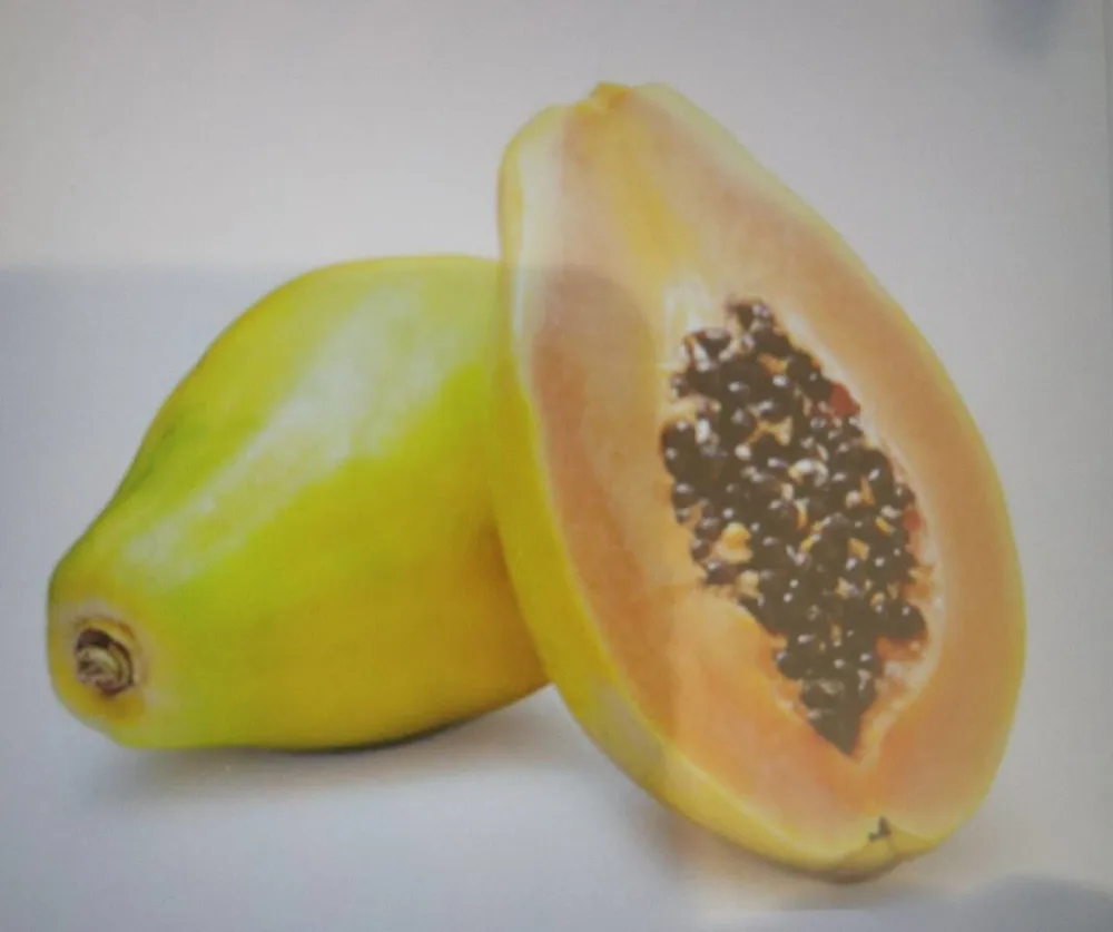 Papaya