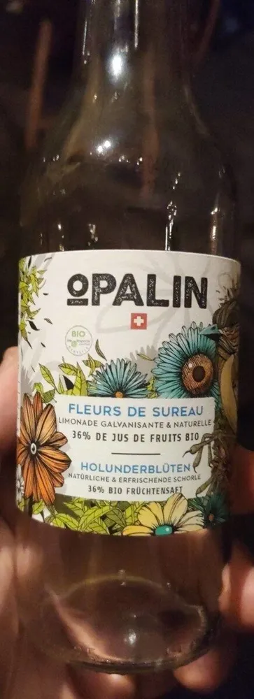 Fleurs de sureau