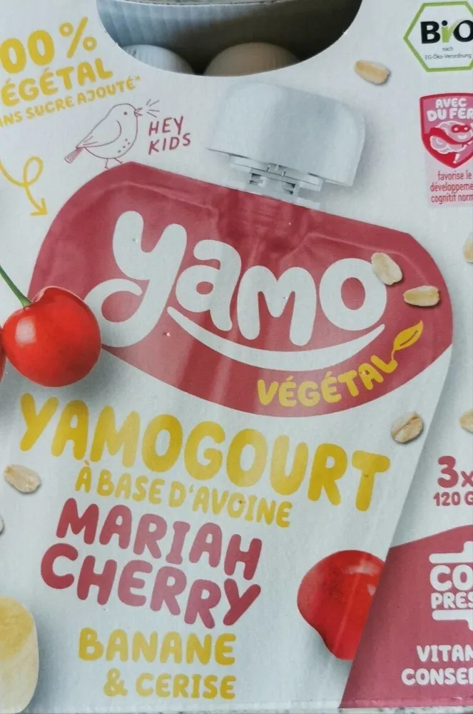 Yamo yaourt a boire bio