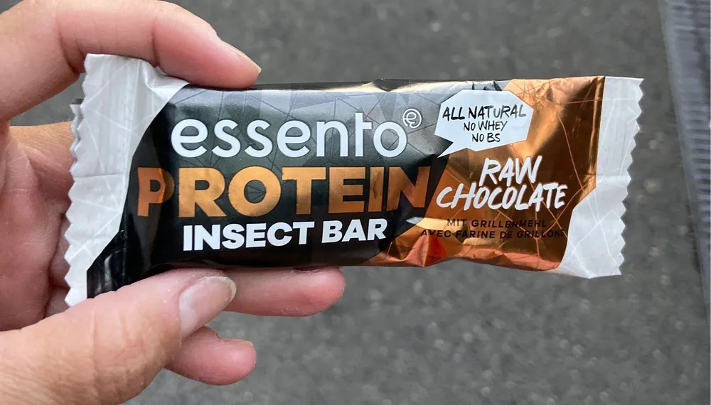 Protein insect bar
