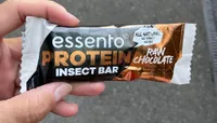 Protein insect bar