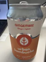 Ginger Kambucha