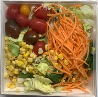 Salade Vegan