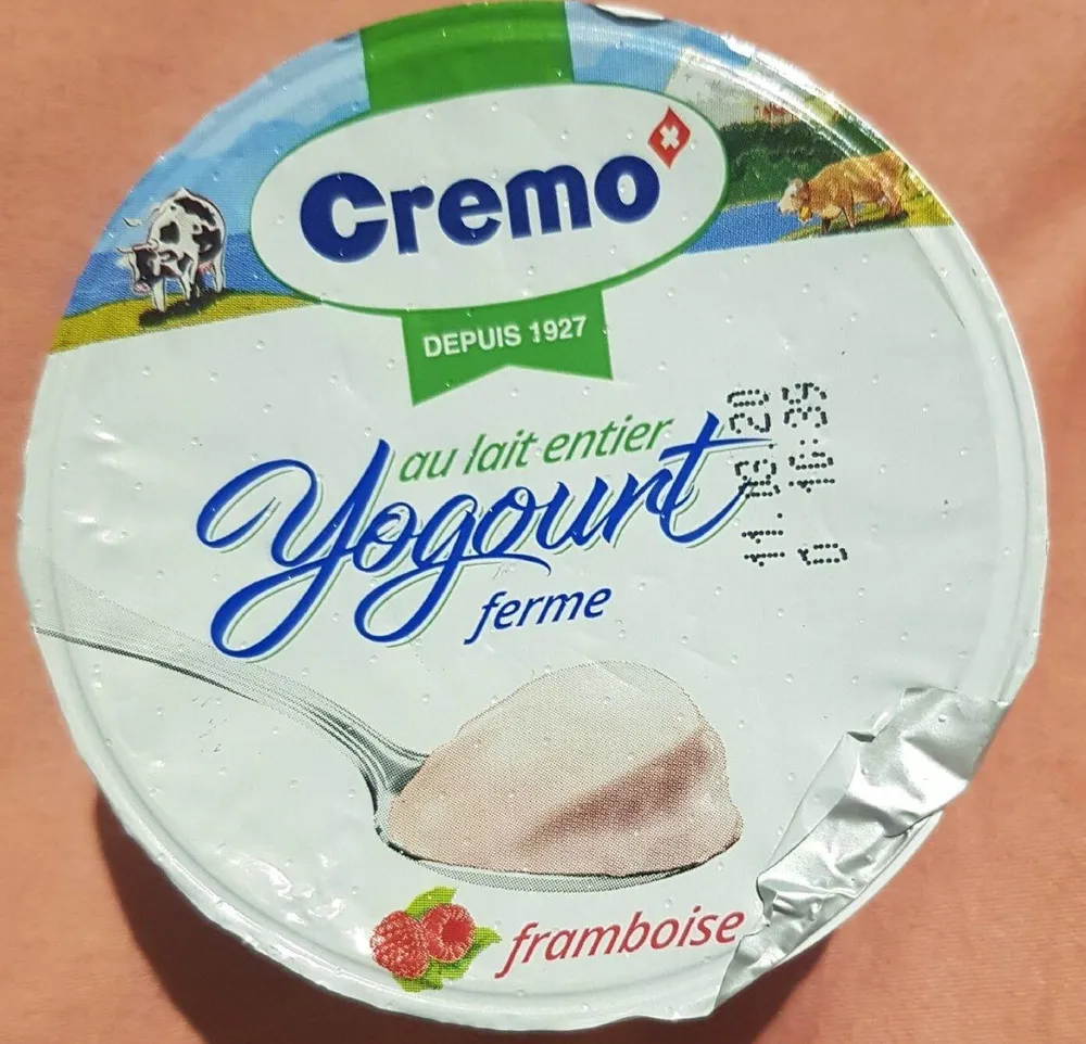 Yogourt ferme, au lait entier