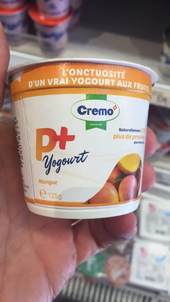 p+ yogourt