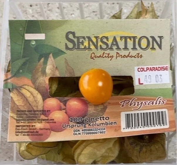 Physalis