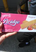 bridge wafer