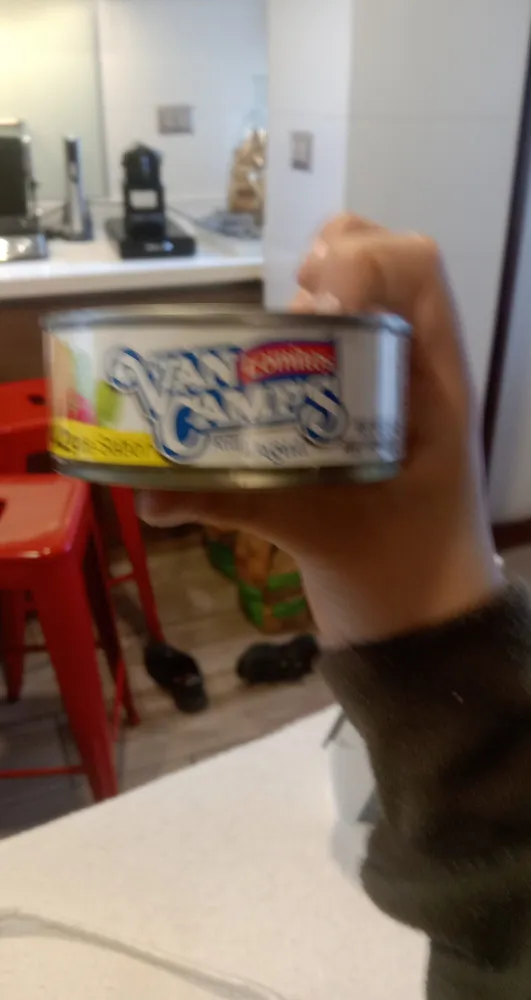 Atun En Agua