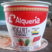Yogurt Cuchareable Salpicón