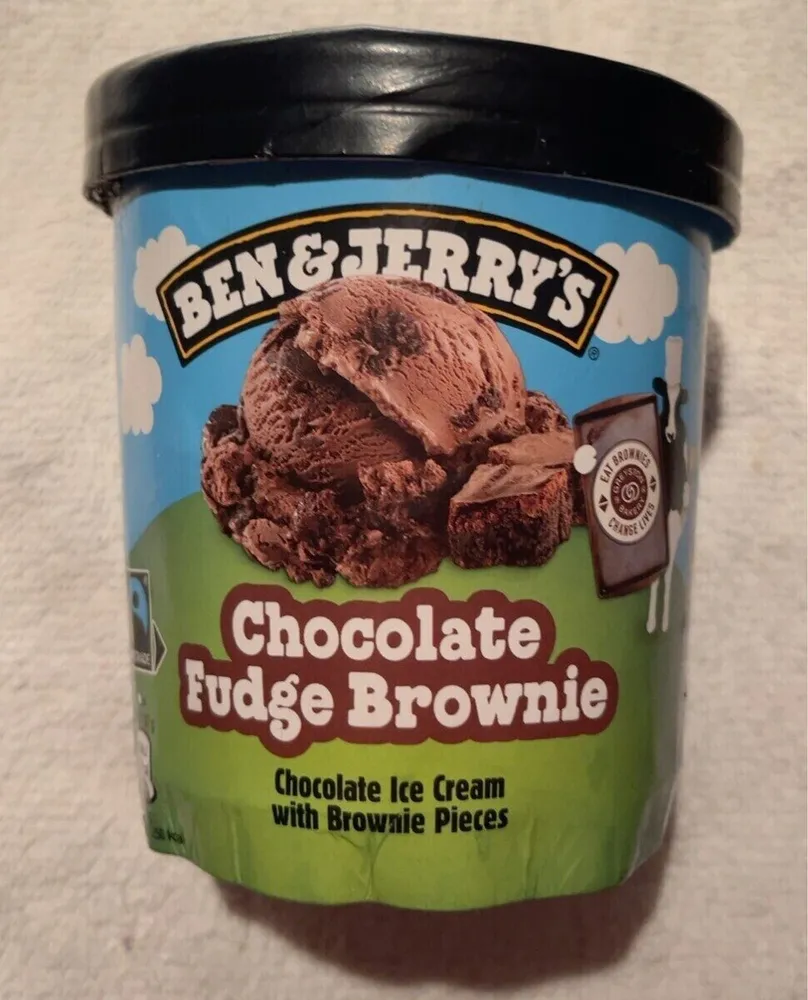 Chocolate Fudge Brownie