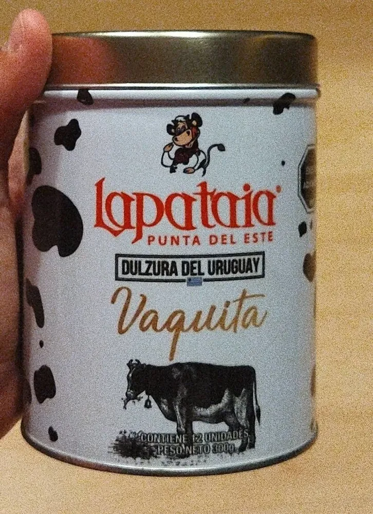 Vaquitas
