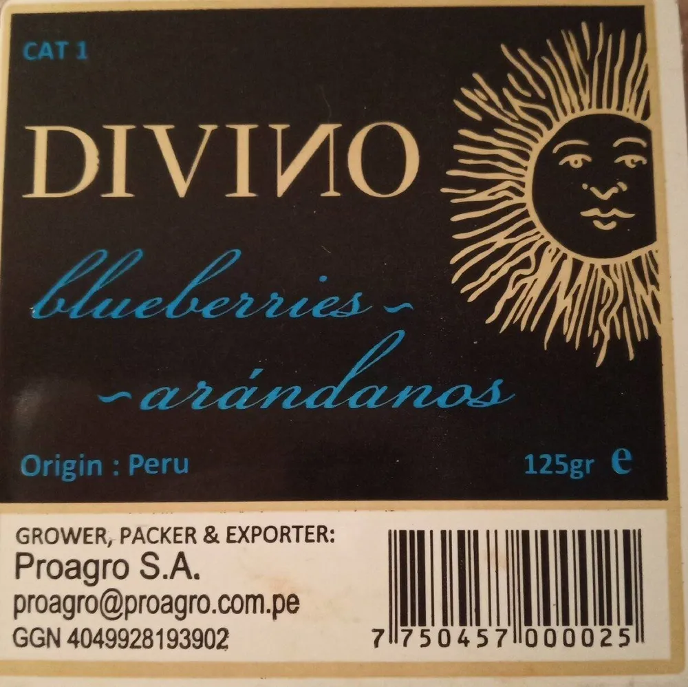 Arándanos