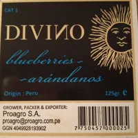Arándanos