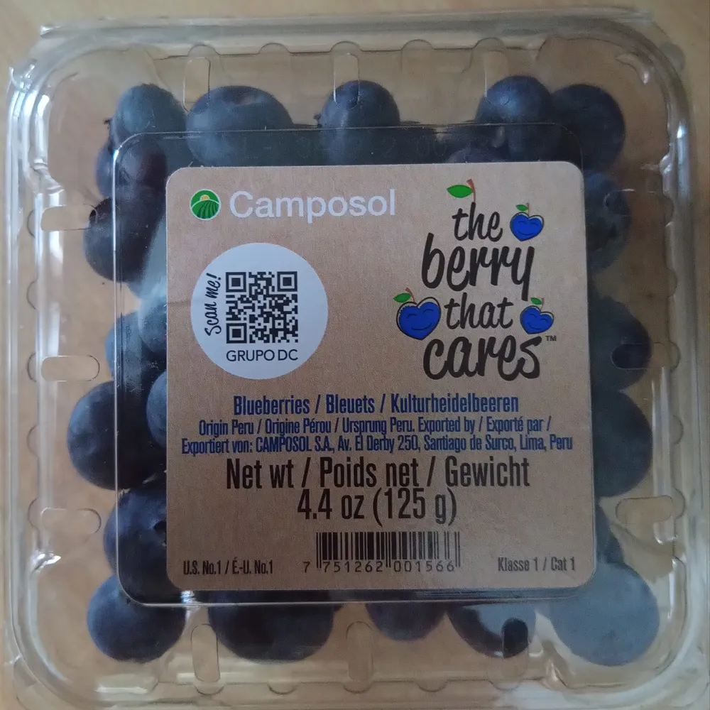 Kulturheidelbeeren