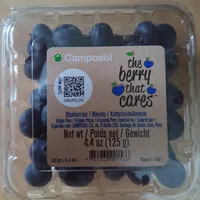 Kulturheidelbeeren