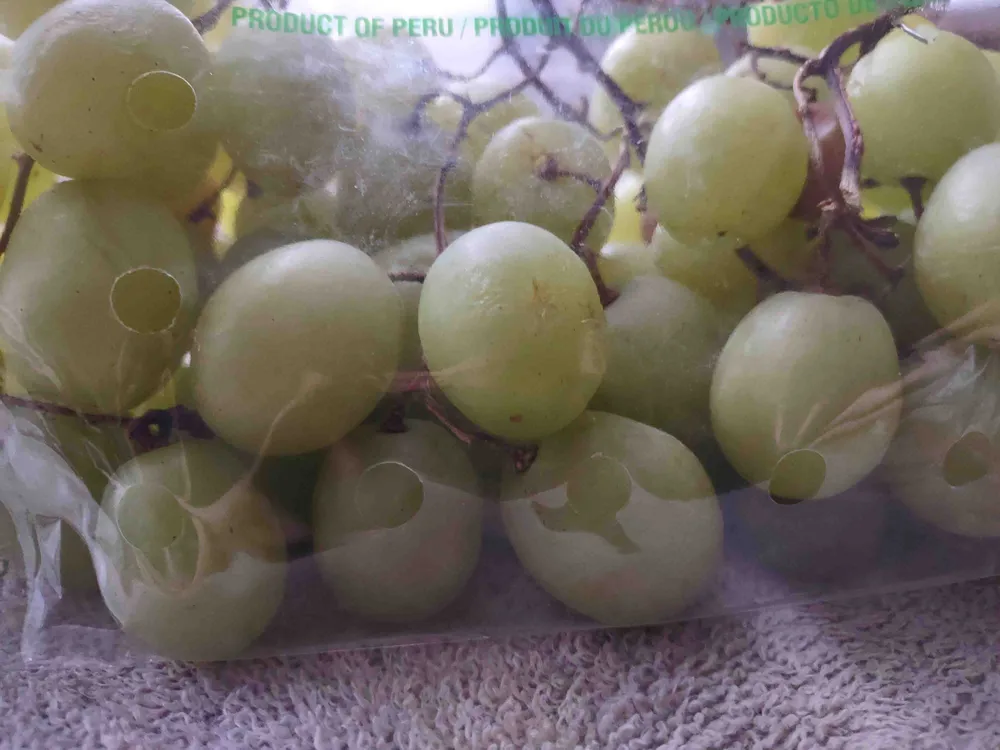 Green Seedless Grapes