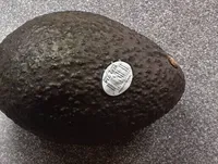 Avocats hass