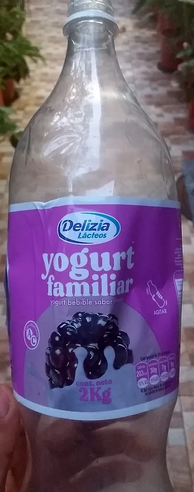 Yogurt Familiar sabor Mora
