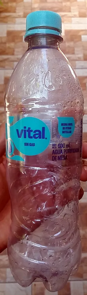 Vital Sin Gas