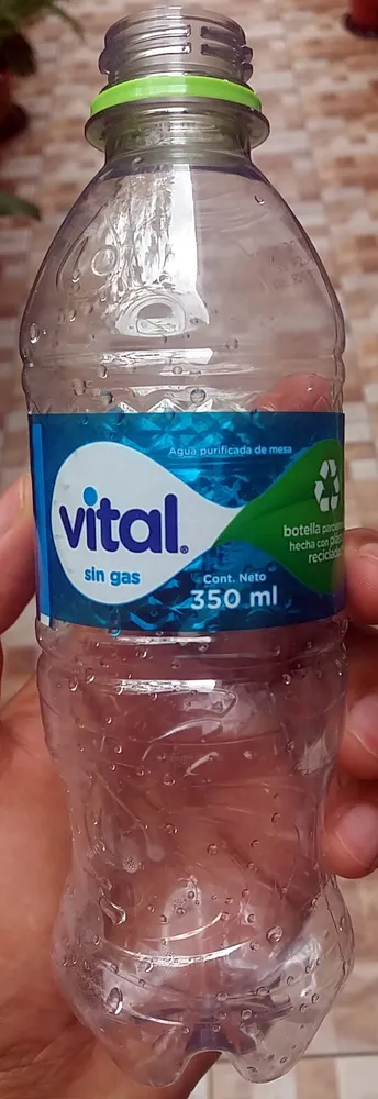 Vital Sin Gas