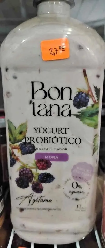 Yogurt Probiótico sabor Mora