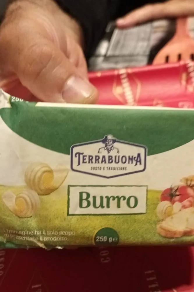 Burro