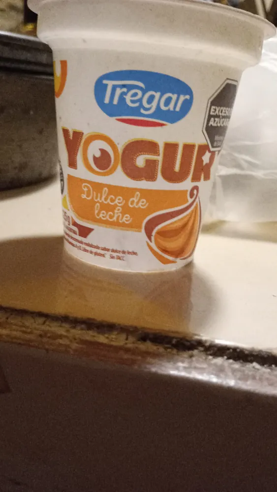 yogurt dulce del leche tregar 125