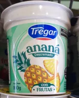 yog Tregar ananá descr