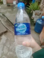 Villamanaos