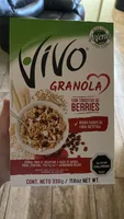 VIVO GRANOLA CON TROCITOS DE BERRIES