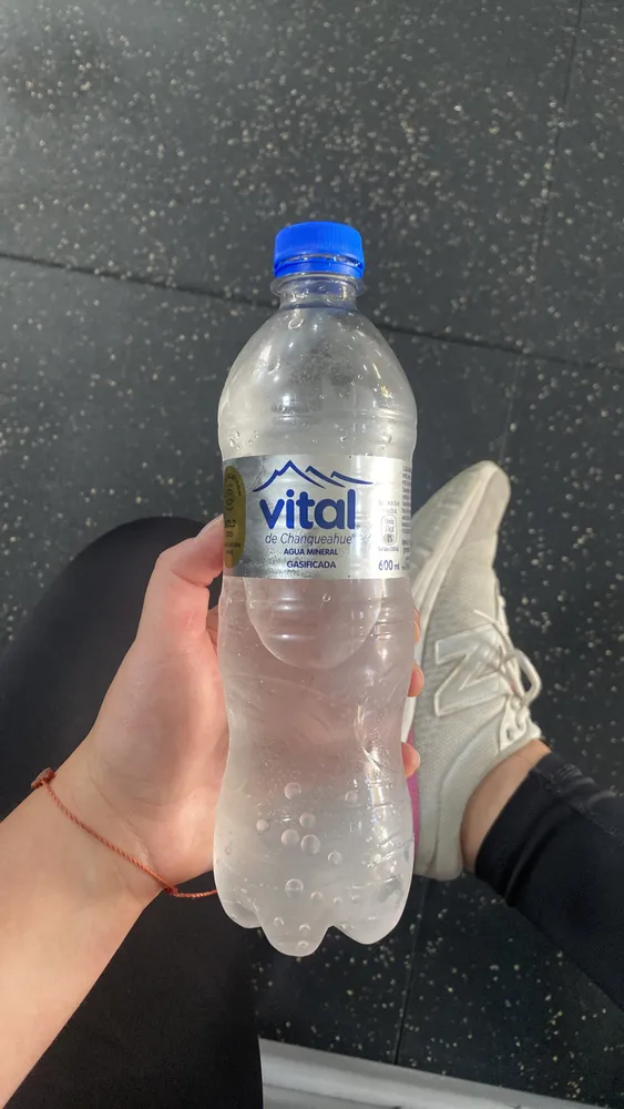 Vital de Chanqueahue Agua Mineral Gasificada