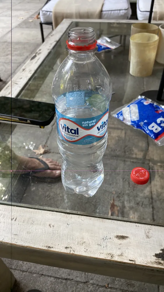 Vital de Chañaral