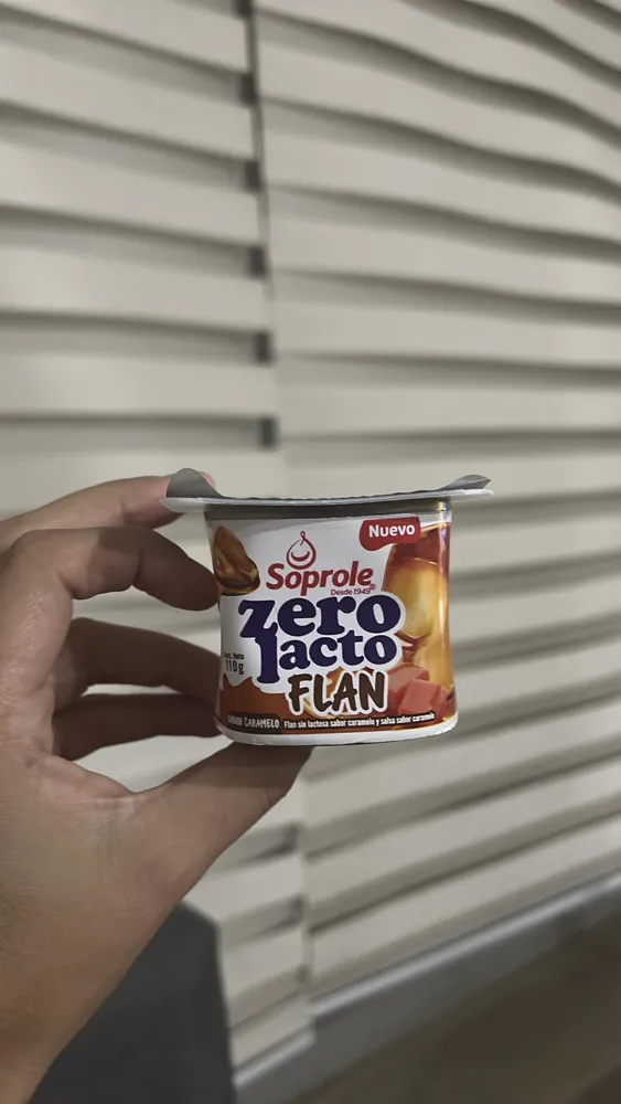 Zero Lacto Flan