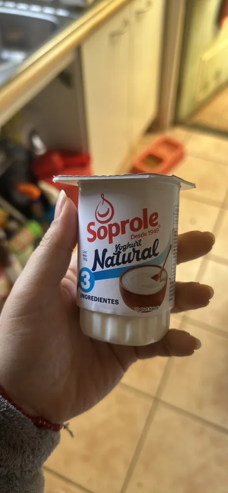 Yoghurt Natural