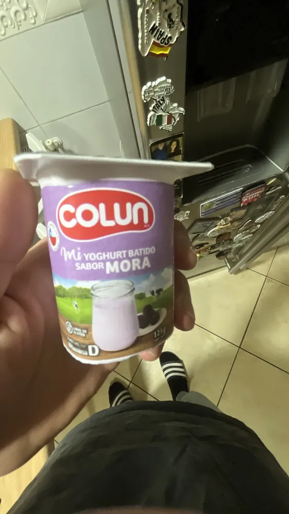 Mi YOGHURT BATIDO SABOR MORA