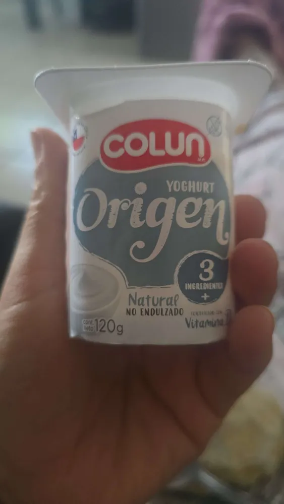 YOGHURT Origen