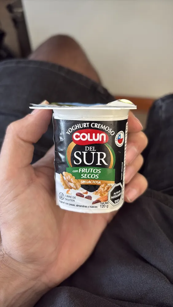 Yoghurt Cremoso Del Sur con Frutos Secos Sin Lactosa