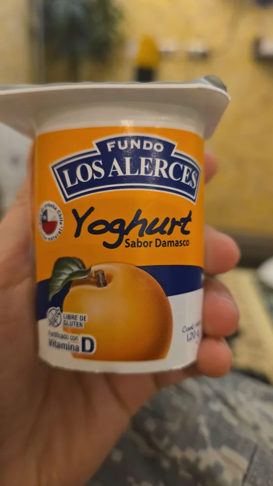 Yoghurt Sabor Damasco