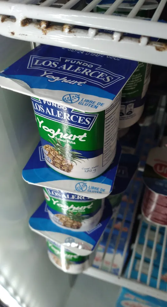 Yoghurt Alerces Piña