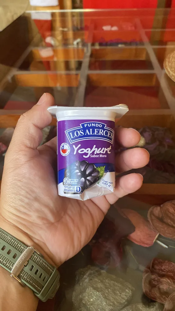 Yoghurt